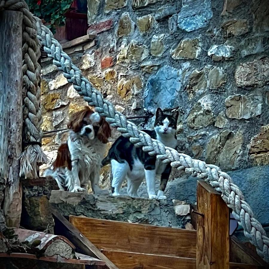 Camere Vecchia Fonte Campiglia Marittima Εξωτερικό φωτογραφία