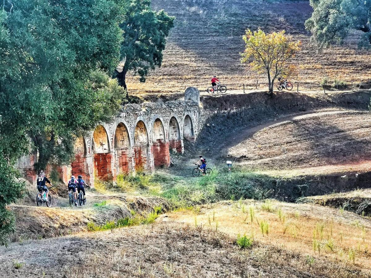 Camere Vecchia Fonte Campiglia Marittima Εξωτερικό φωτογραφία